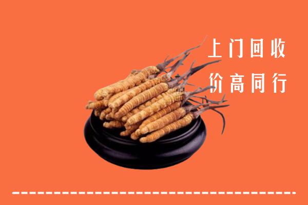 高价求购：舟山普陀回收散虫草