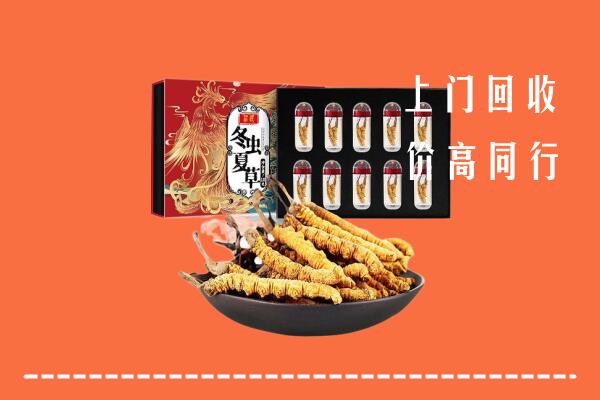 舟山普陀回收虫草
